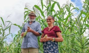 Ceará Destina R$ 35 Milhões ao Projeto Hora de Plantar 2024/2025