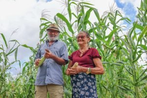 Ceará Destina R$ 35 Milhões ao Projeto Hora de Plantar 2024/2025