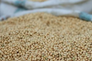 Soja em acomodação pós-DATAGRO — mercado busca equilíbrio 