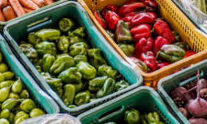 O PAS Nordeste fortalece a produção e consumo de alimentos saudáveis