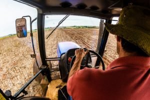 Pequenas propriedades são 70% dos estabelecimentos produtores de soja no Brasil