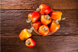 Caju: pior doença da cultura está prestes a atacar; saiba como se prevenir