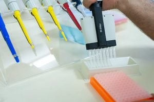 Embrapa e INPI apresentam resultados sobre edição gênica na agropecuária
