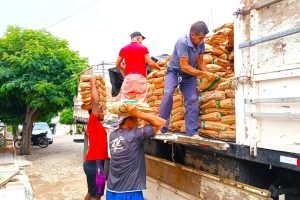 Catarina inicia entrega de sementes do Hora de Plantar com senhas e autorização