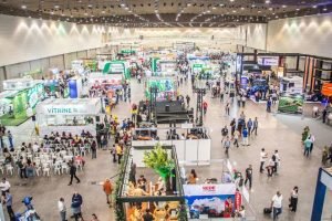 A virada de chave que mudou o cenário do Agro Cearense