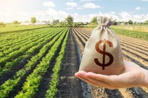 Lei reduz burocracia para declaração do Imposto Territorial Rural