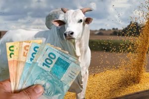 Emissões de CRA caem 77% e aumentam alerta sobre crédito no agronegócio