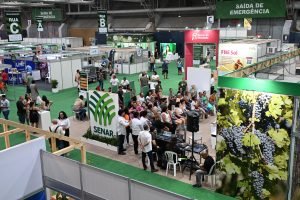 DATAGRO amanhã: checklist de quarta e o que esperar de Goiânia