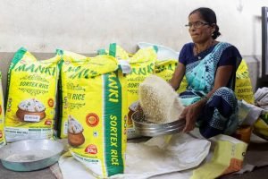 Índia pode perder 10 milhões de toneladas de arroz e afetar o mercado mundial