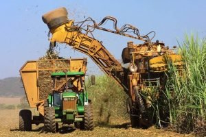 Cana-de-açúcar sendo processada em usina