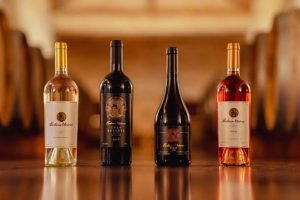Vinhos brasileiros buscam novos compradores durante a ProWine