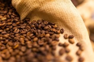 Café recua com nova safra, mas preços seguem elevados em 2026
