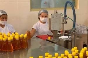Piauí busca novos mercados após queda das exportações aos Estados Unidos