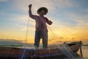 Cadeia de pesca e aquicultura em atividade na Bahia