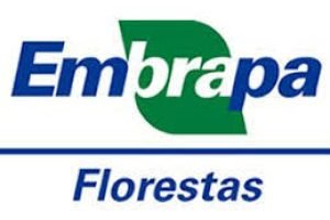Embrapa Florestas passa a ser centro de referência da FAO