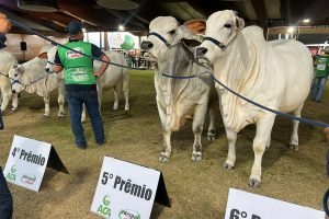 Expoagro Alagoas inicia programação de genética e negócios em Maceió