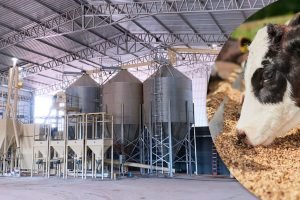 Equipamentos para fabricação de ração podem atender criadores da agricultura familiar