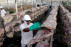 Carne bovina brasileira preparada para exportação