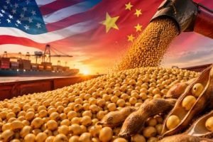 EUA e China se encontram com soja no radar do mercado