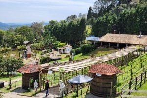São Roque conecta pequenos produtores ao mercado do turismo