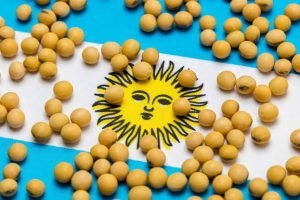 Argentina mira mercado europeu de farelo de soja com regras antidesmatamento