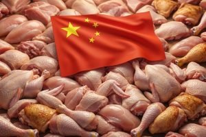China pode desafiar Brasil no mercado global de frango