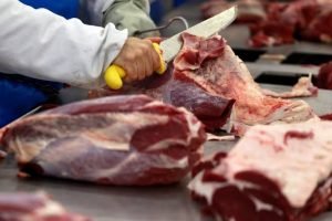 Exportações de carnes recuam em setembro e expõem concentração de mercados