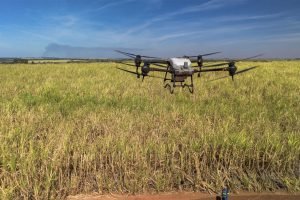 Expointer 2026 debate IA, crédito rural, drones e biotecnologia