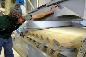 Capacidade de processamento de soja cresce e reforça indústria de derivados