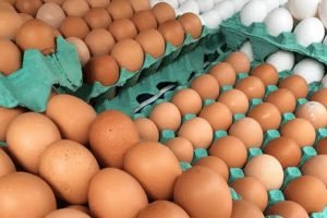 Consumo de ovos deve alcançar 301 unidades por habitante em 2026