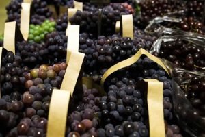 Frutas do Vale do São Francisco são selecionadas para exportação