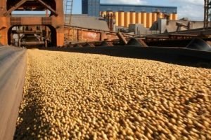 Soja acelera exportações e milho perde ritmo em setembro