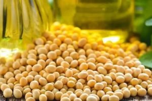Abiove projeta esmagamento de 66 milhões de toneladas de soja em 2027