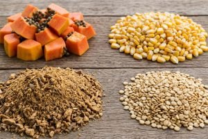Produtos brasileiros autorizados em quatro novos mercados