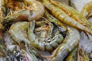 Festival do Camarão em Aracati debate expansão da carcinicultura