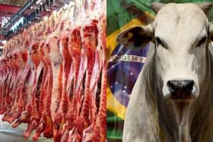 Carne bovina brasileira fecha mais de US$ 8 milhões em feira saudita