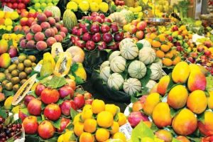 Exportações de frutas e nozes brasileiras aceleram no início de outubro