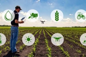 Luís Eduardo Magalhães concentra polo irrigado e mercado de WaterTech e AgTech
