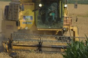 Recuperações judiciais no agro +21,9%