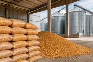 Farelo de soja utilizado na produção de ração animal