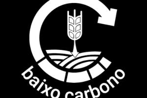 Programa de trigo de baixo carbono prepara protocolo de certificação