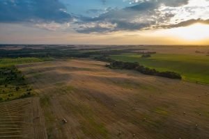 MATOPIBA busca produtividade e mais valor por hectare