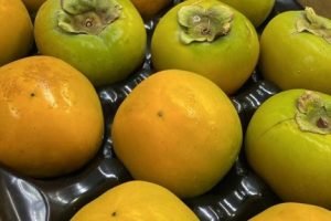 Fiscalização agropecuária inspeciona caquis importados