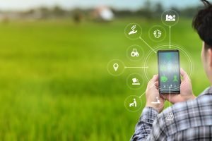 Conectividade rural amplia acesso a tecnologia e compradores