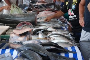 Pescado aguarda decisão da União Europeia sobre reabertura