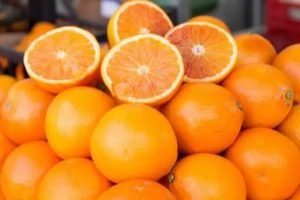 Laranja 2026/27: safra sobe para 263,2 milhões de caixas