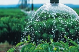 Produtividade da água ganha importância no agro do Semiárido