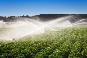 Amílcar Silveira destaca potencial da irrigação para ampliar as exportações do Ceará.