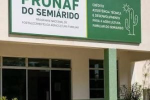 Pronaf Semiárido cresce 47% e sociobiodiversidade da Caatinga sobe 51%