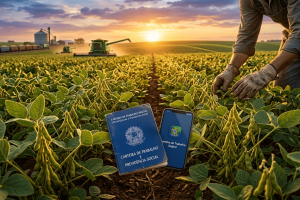Agronegócio gera 1 em cada 4 empregos e exporta US$ 169 bi, diz ministro
